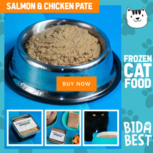 Healthy Salmon & Chicken Pate Wet Cat Food -1/2 Kilo