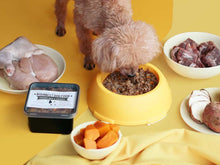 Load image into Gallery viewer, Healthy Chunky Chicken &amp; Squash Dog Food - 1/2 Kilo