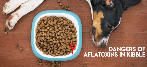 Dangers of aflatoxins in kibble