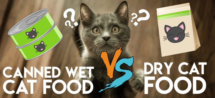 Canned Wet Cat Food Versus Dry Cat Food
