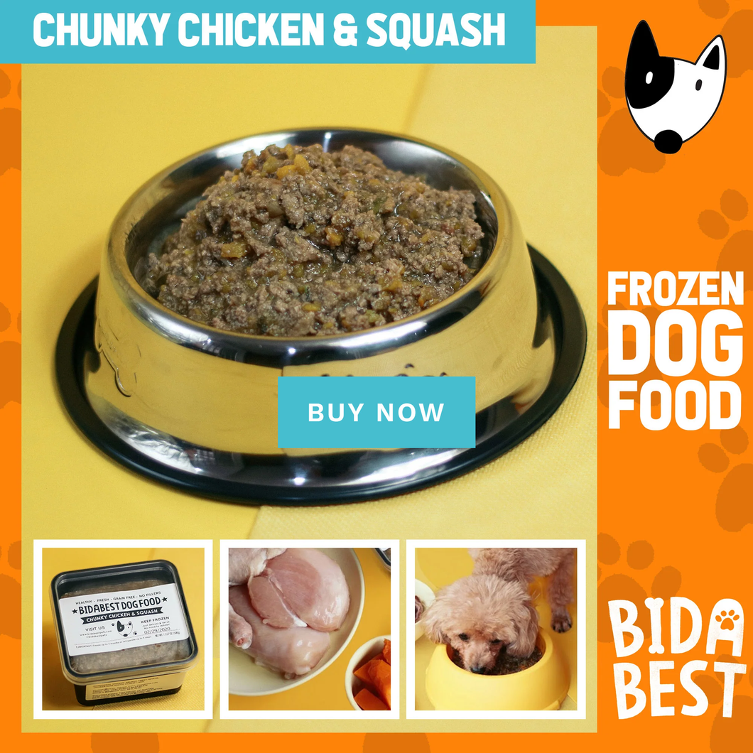 Healthy Chunky Chicken & Squash Dog Food - 1/2 Kilo